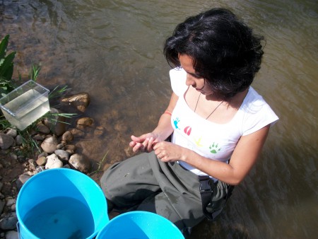 Biologia Aquática Continental - Caracterização da Biodiversidade
